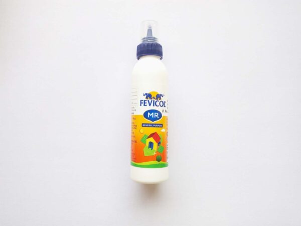 Fevicol MR 42g